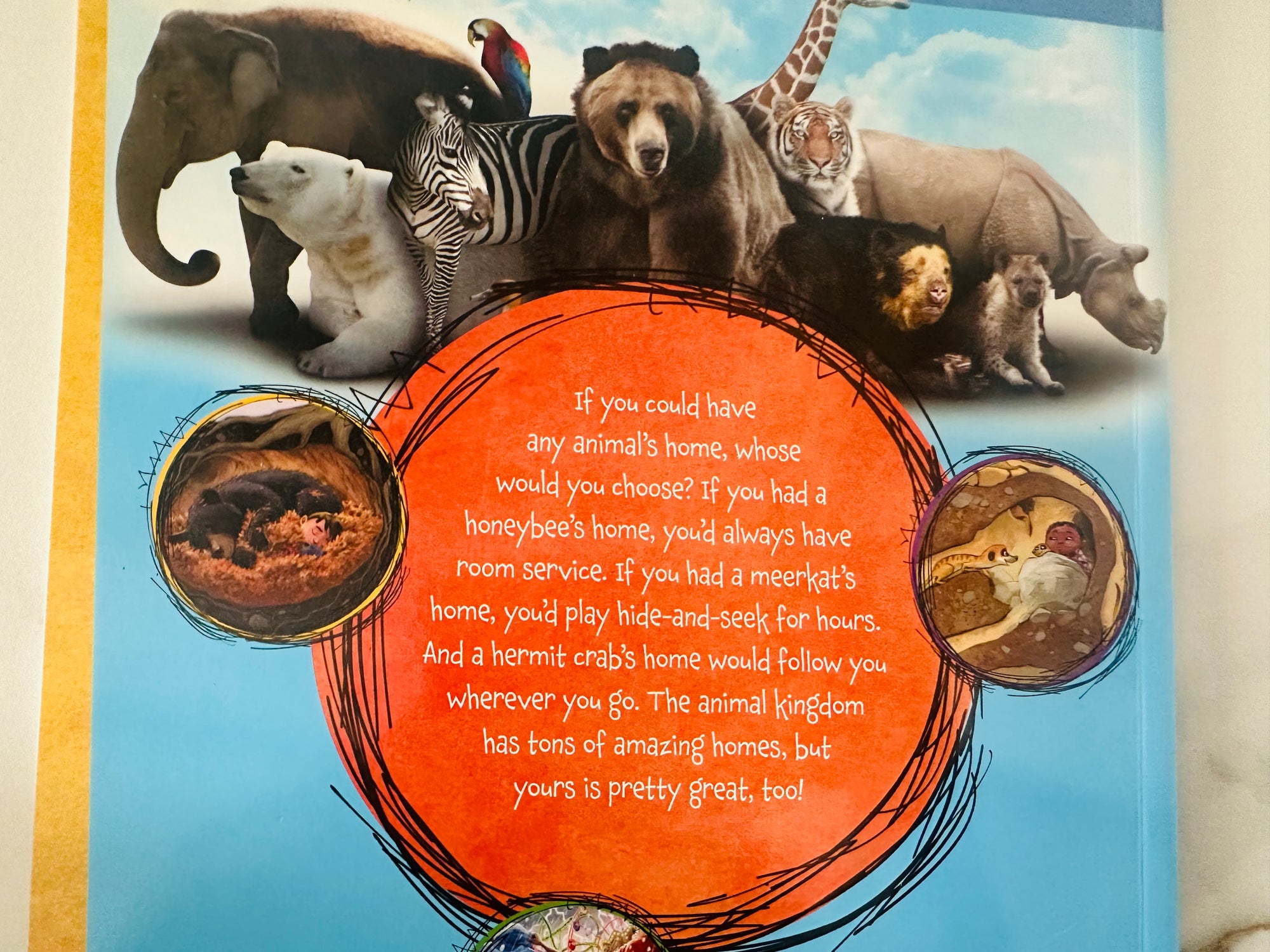 What happened if you lived in an animal home : Non fiction