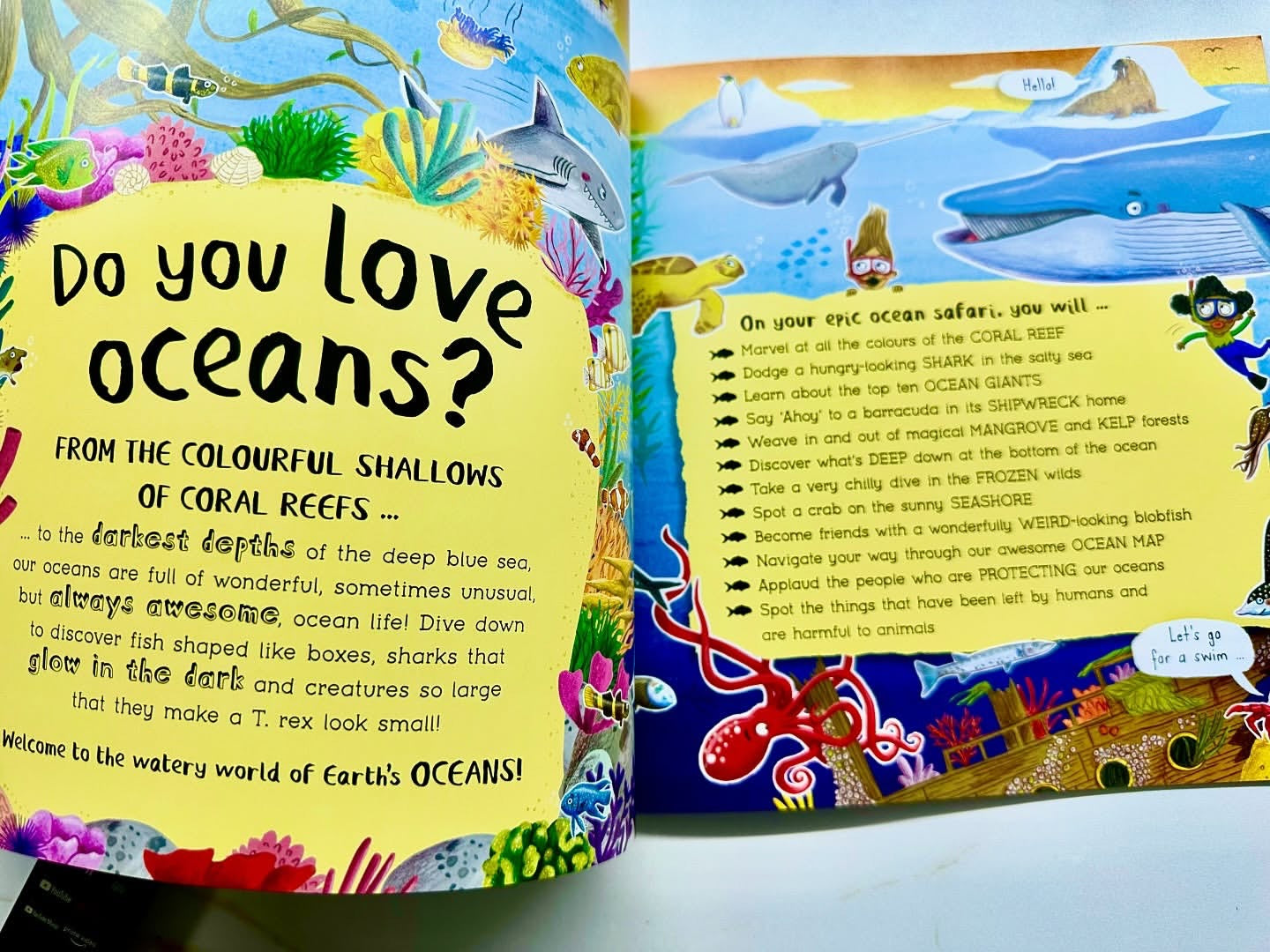 Do You Love Oceans? Facts about the Underwaters