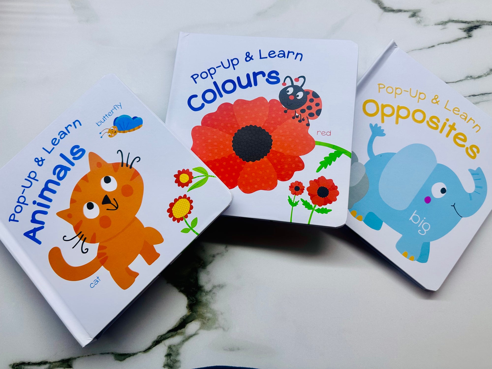 Pop Up and Learn Animals