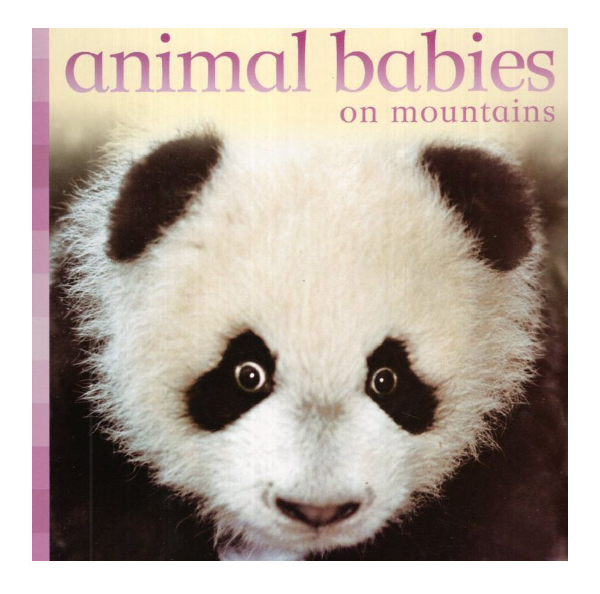 Baby Animals On The Mountains