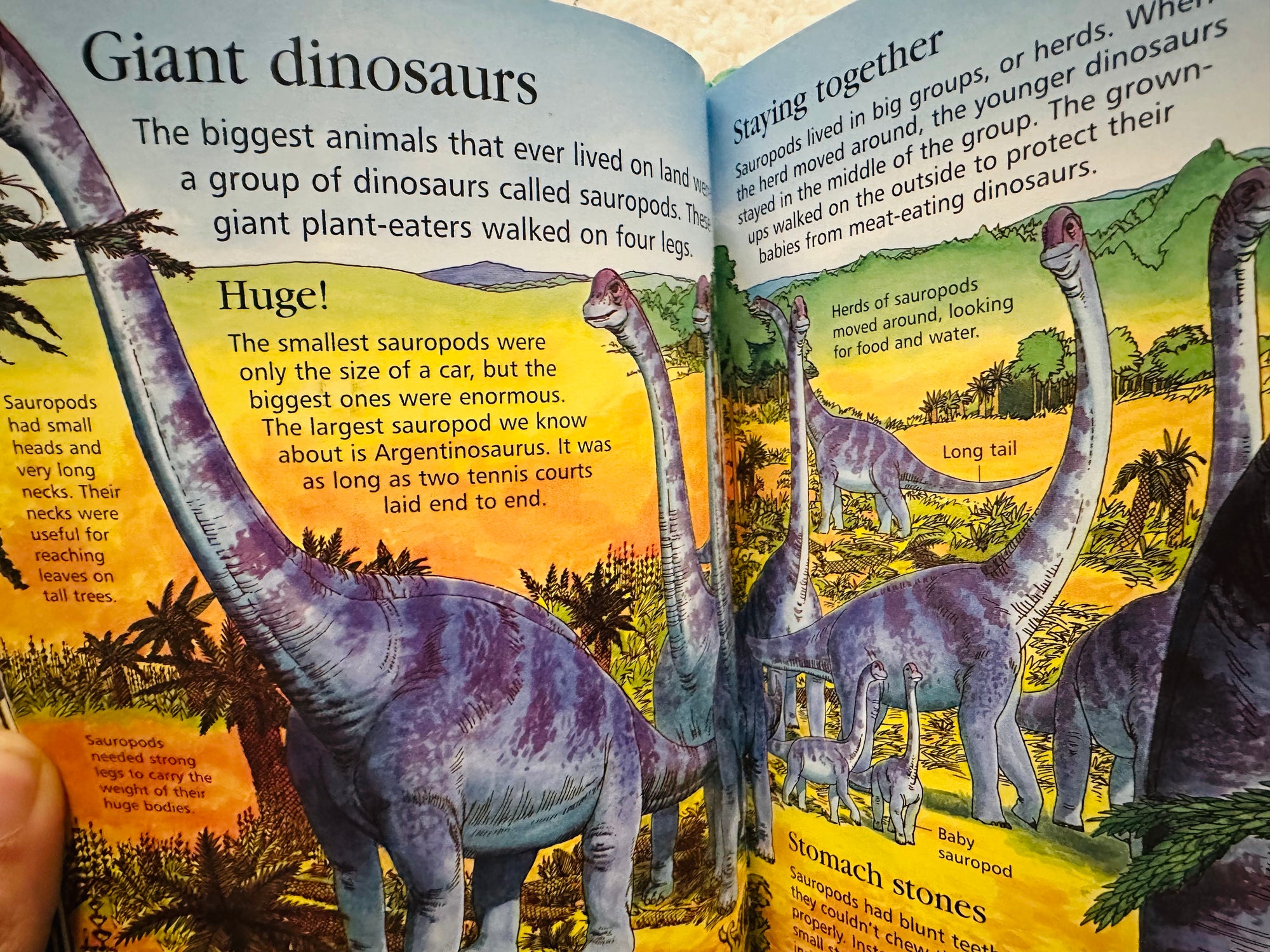 The Usborne Little Encyclopaedia of Dinosaurs