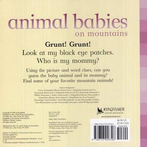 Baby Animals On The Mountains