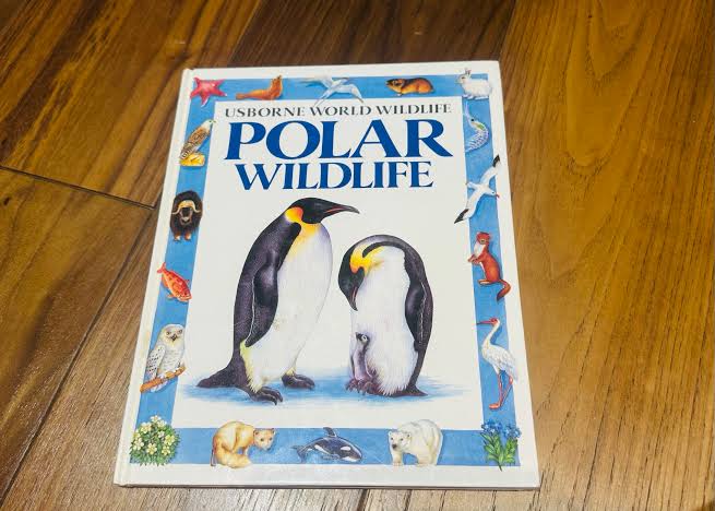Usborne Wildlife In The Polars