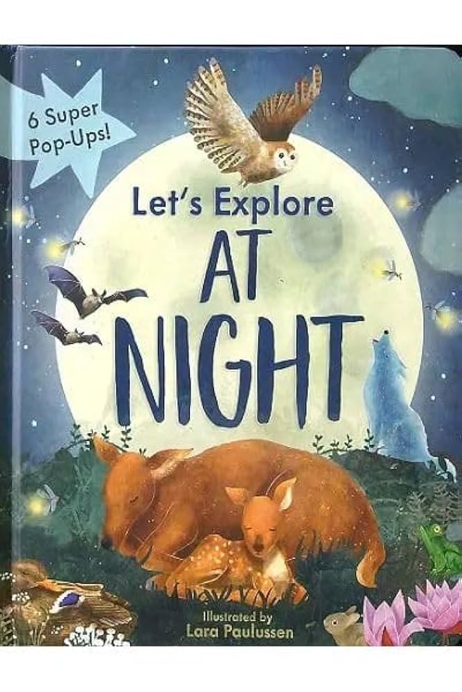 Pop Up Book : Lets Explore At Night?