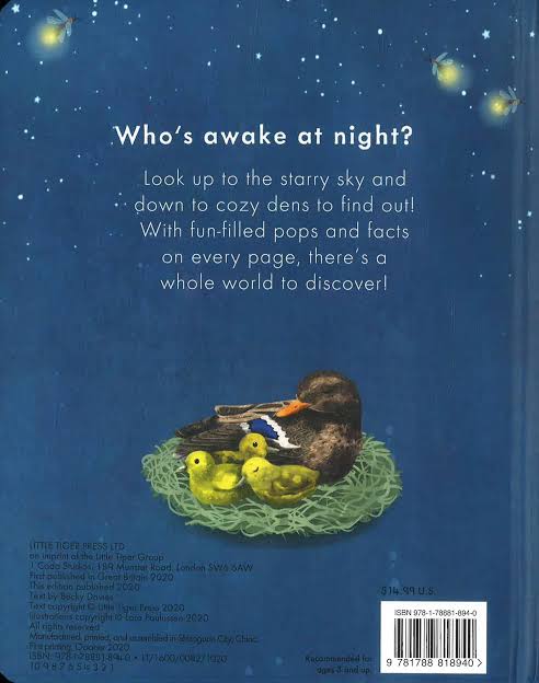 Pop Up Book : Lets Explore At Night?