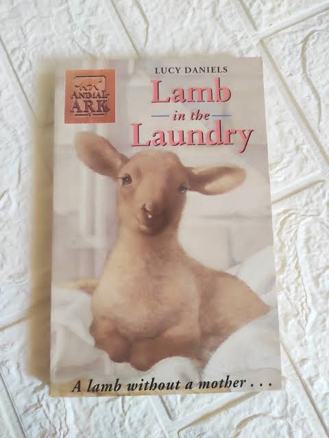 Lamb In The Laundry