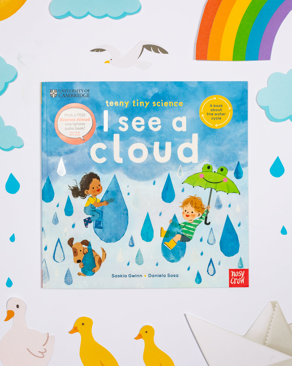 I See A Cloud : A book about Water Cycle