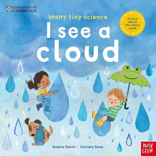I See A Cloud : A book about Water Cycle