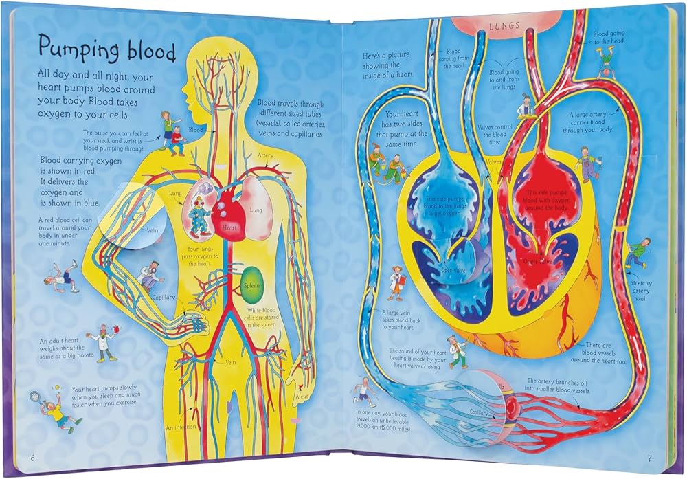 See Inside Your Body