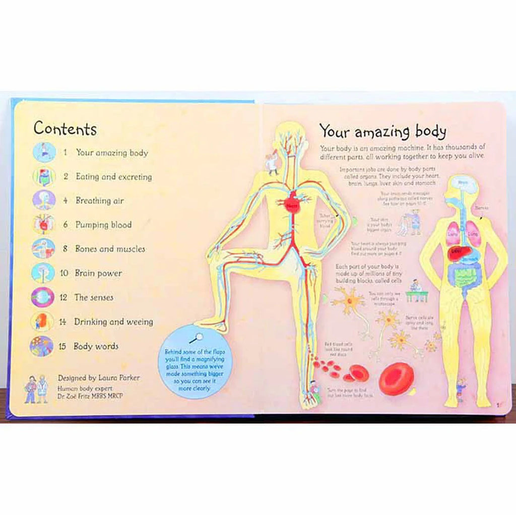 See Inside Your Body