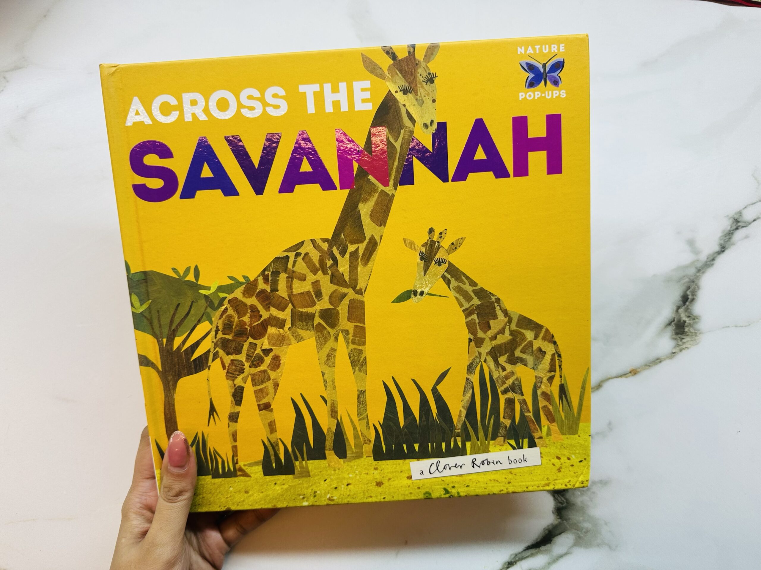 Pop Up Book : Savannah